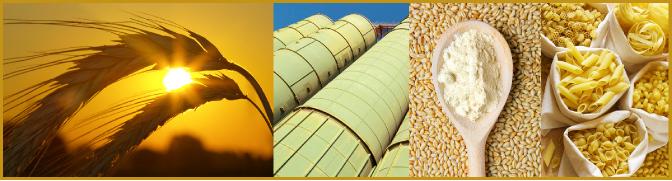 multipleimagesfbgooder